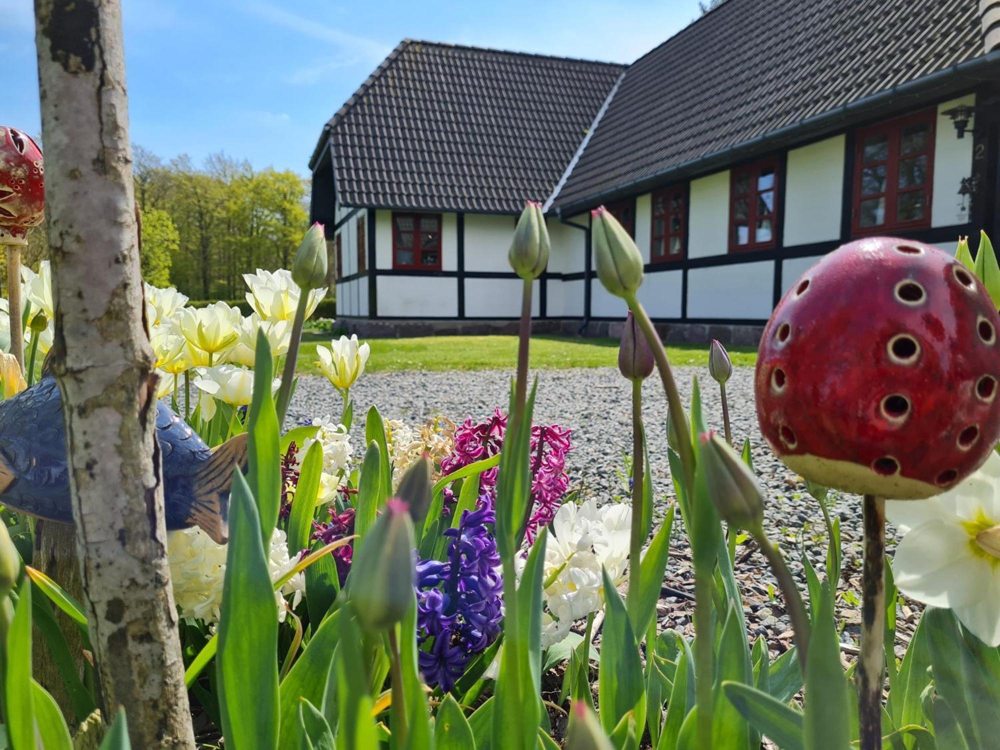 B&B Bauernhofferien Auf Mon Askeby Exterior photo