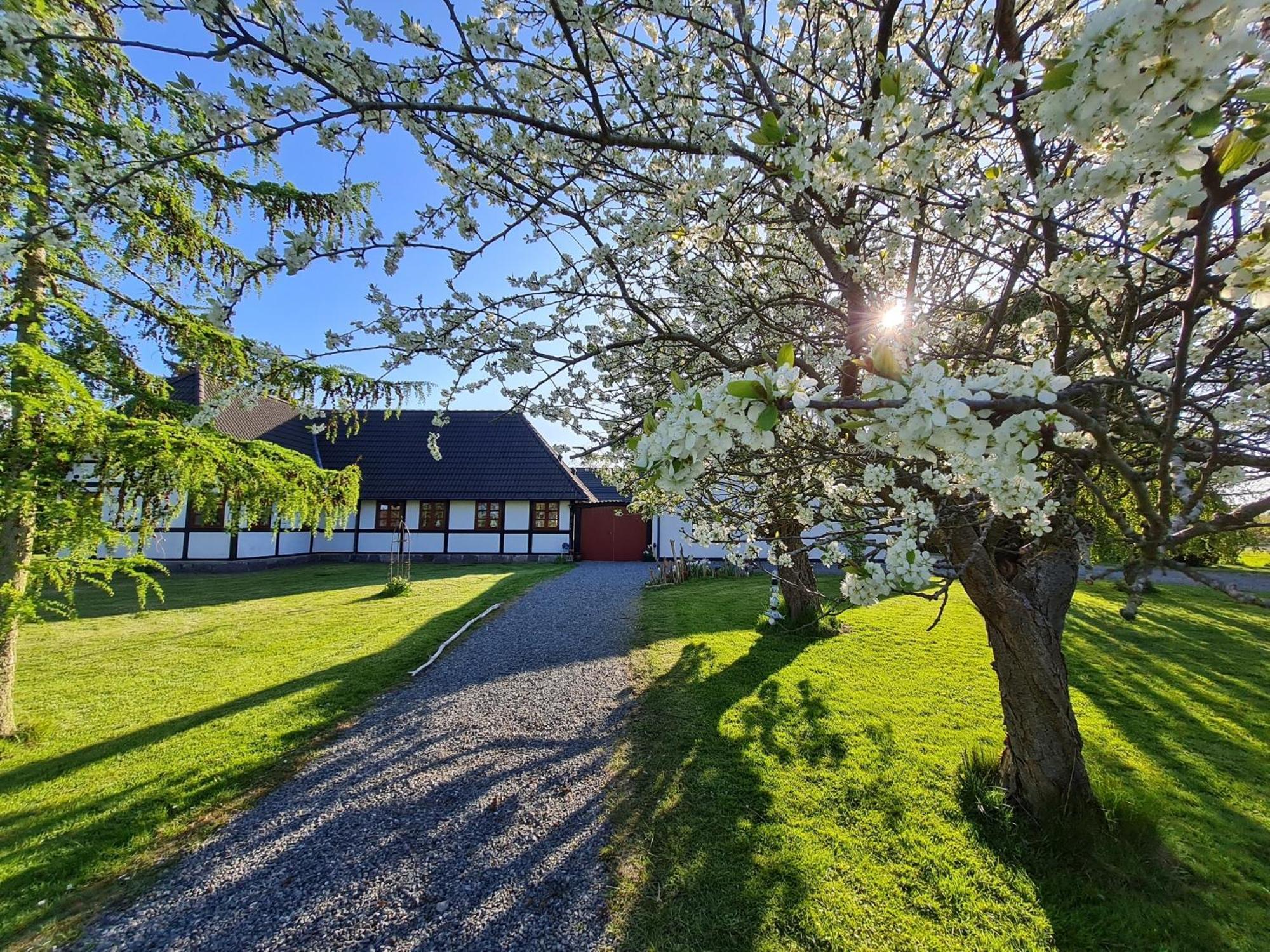 B&B Bauernhofferien Auf Mon Askeby Exterior photo